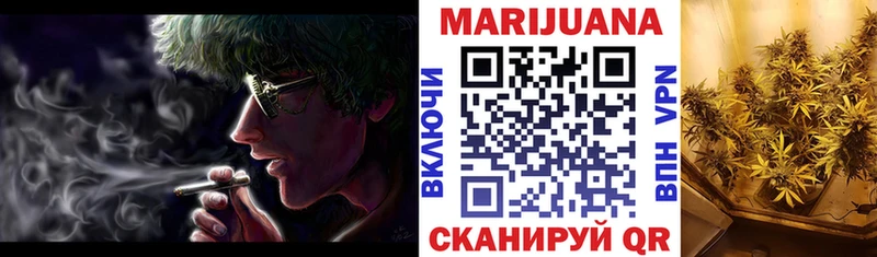 Бошки марихуана конопля Нефтекумск
